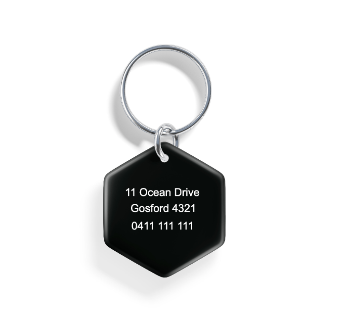 Mountain Peak | Pet ID Tag