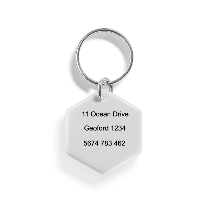 Mystic Mutt | Pet ID Tag