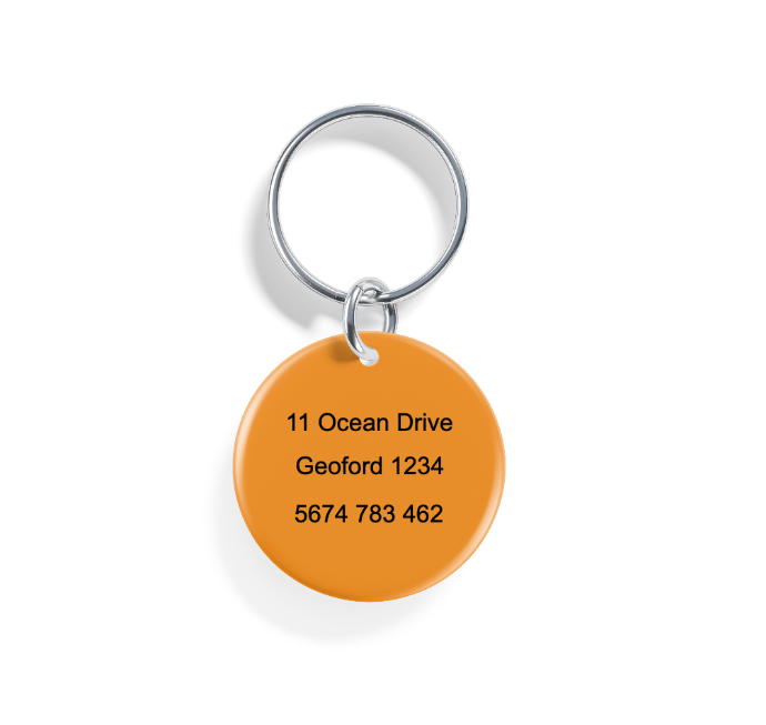 To the Summit | Pet ID Tag
