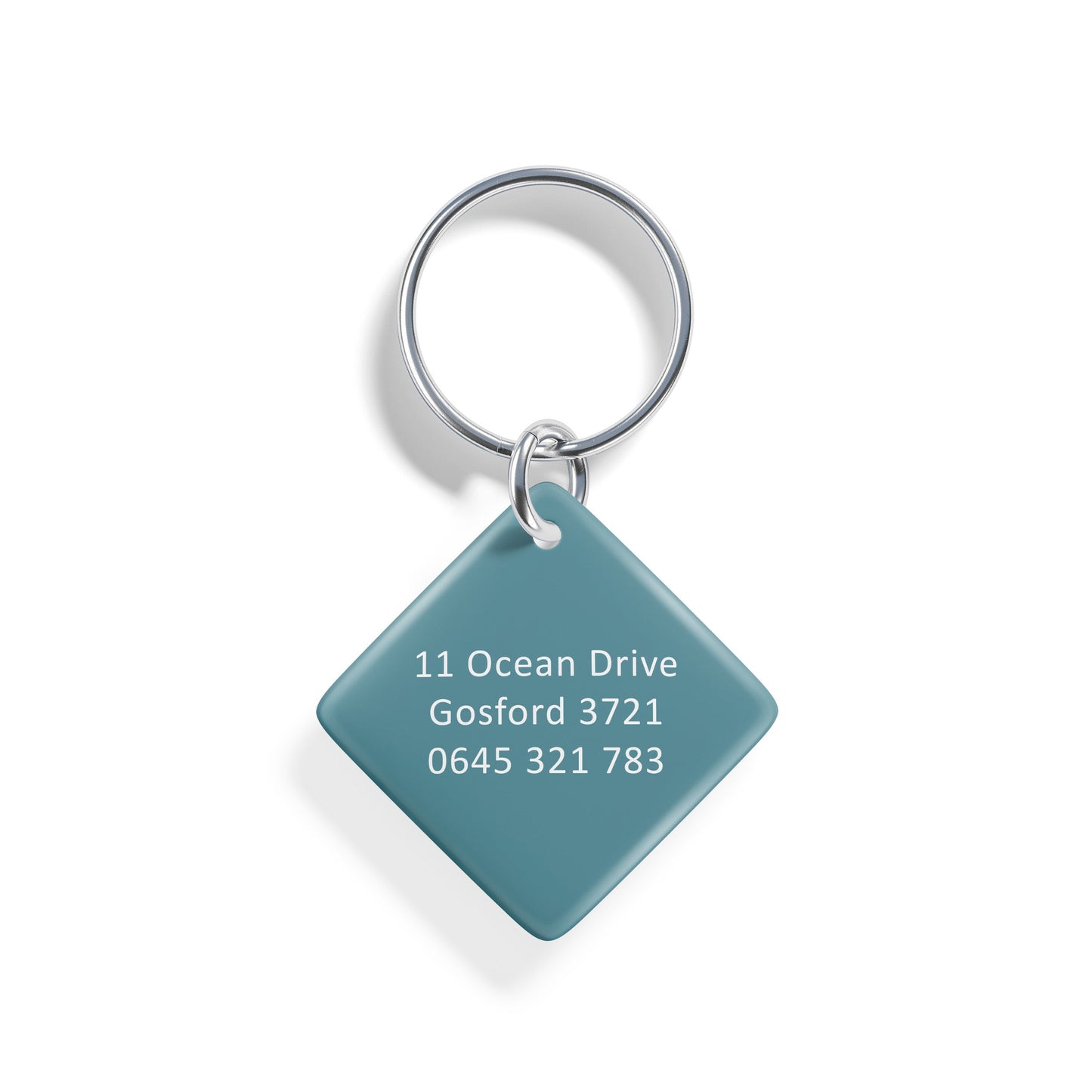 Adventure Awaits | Pet ID Tag - Alpine Tails Pet Tags