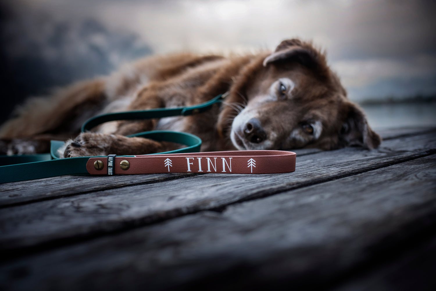 Leads - Alpine Tails