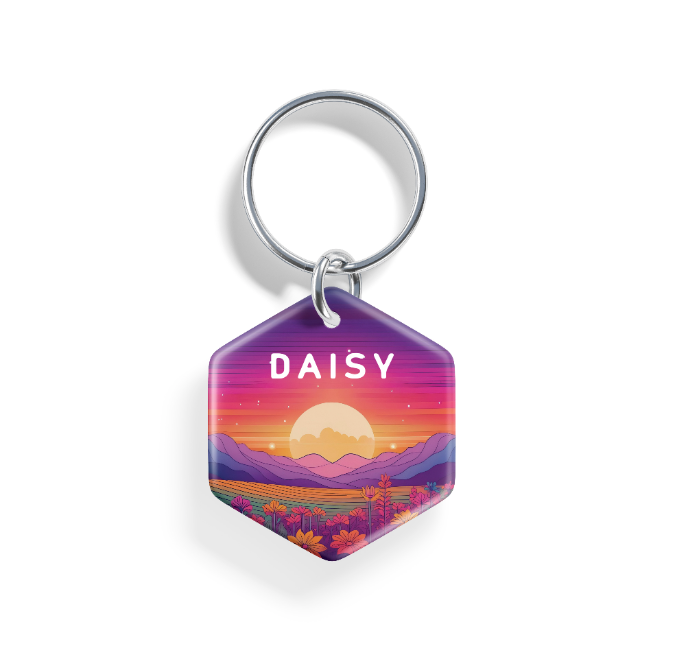 Rainbow Dawn  | Pet ID Tag