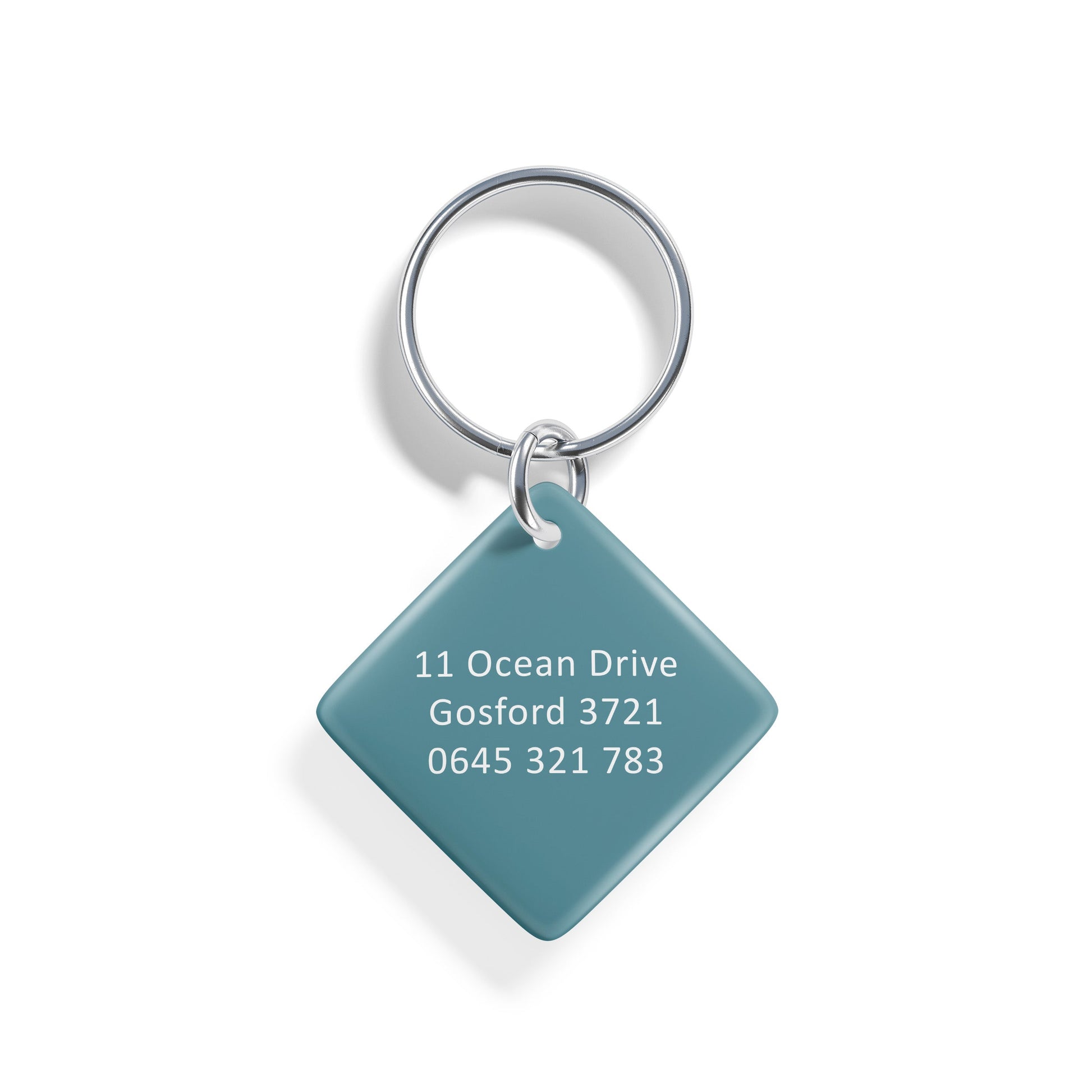 Adventure Awaits | Pet ID Tag - Alpine Tails Pet Tags