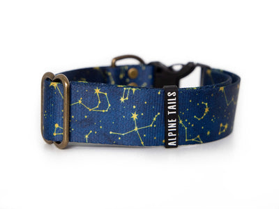 Constellations | Dog collar - Alpine Tails
