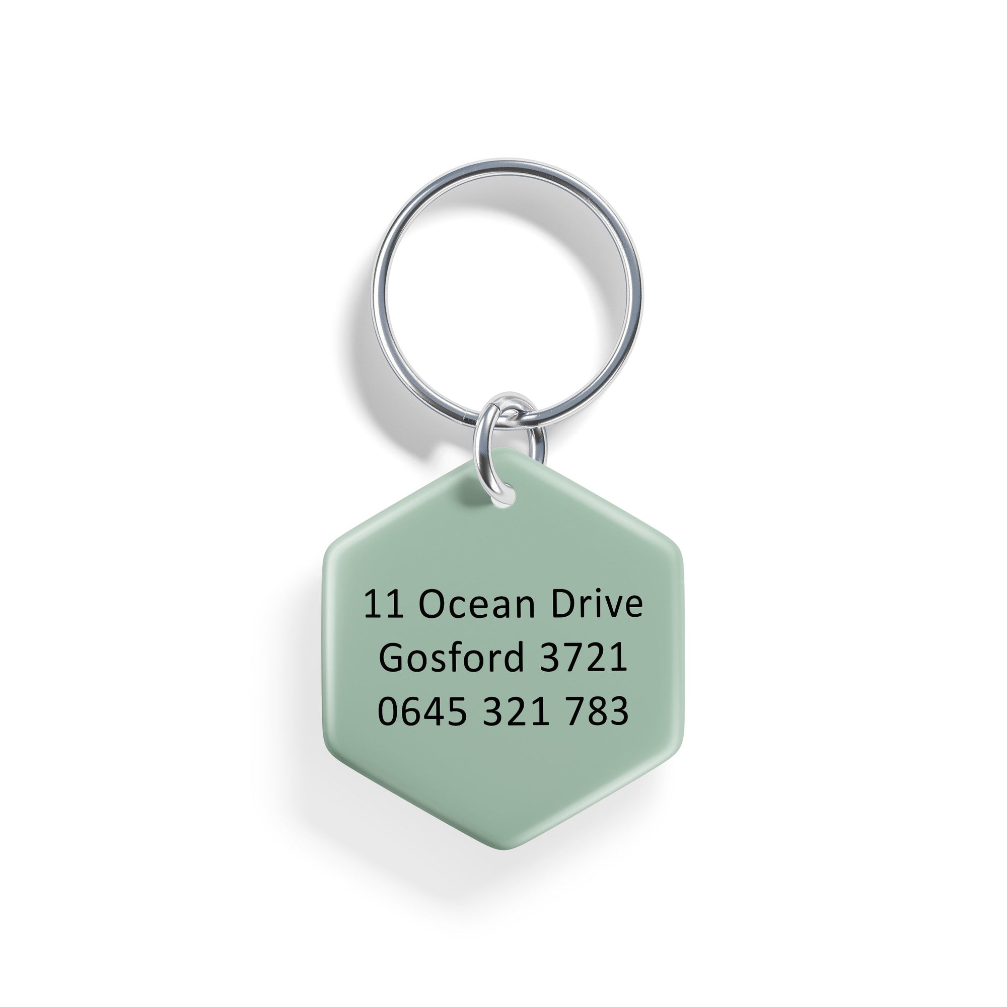 Desert Drifter | Pet ID Tag - Alpine Tails Pet Tags