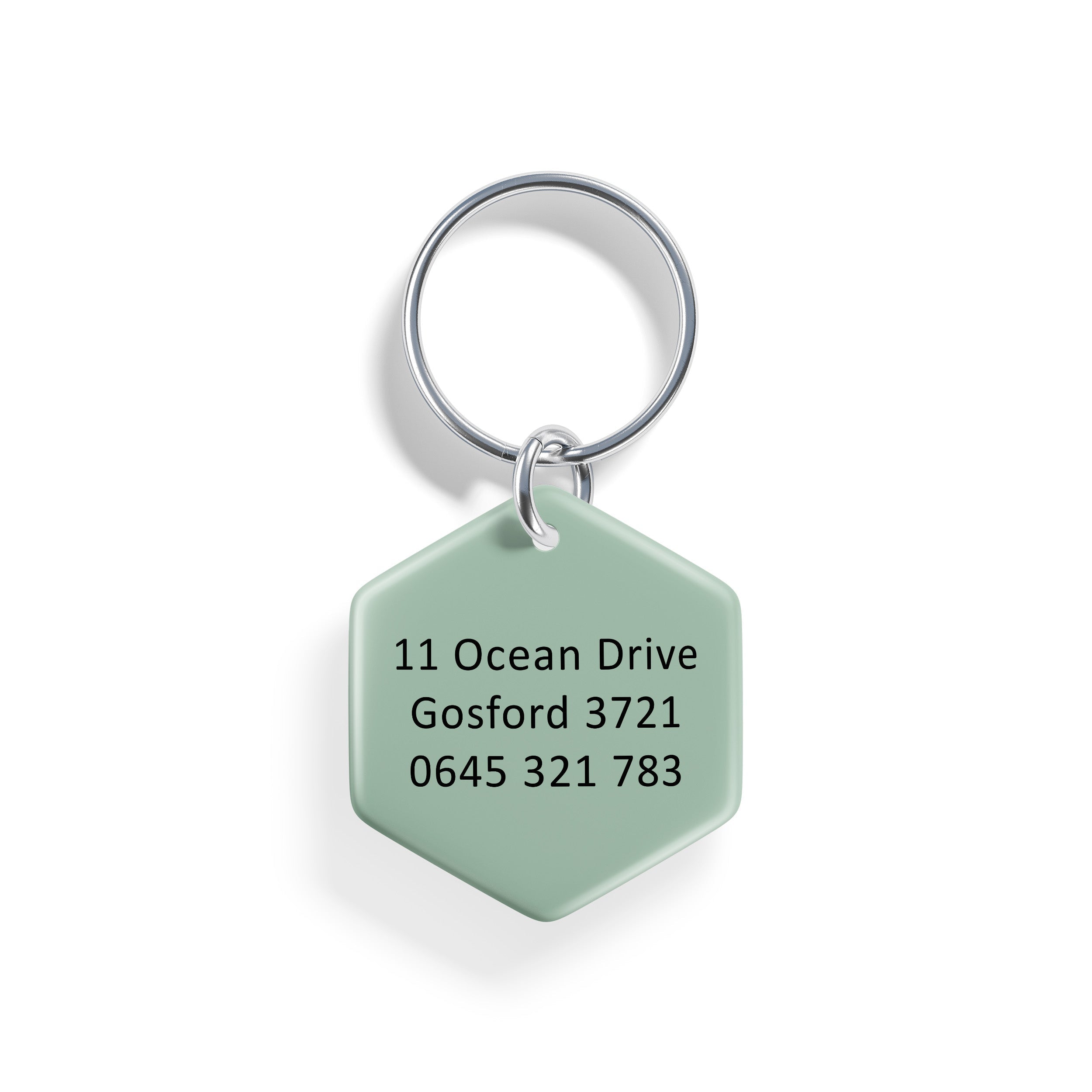 Desert Drifter | Pet ID Tag - Alpine Tails Pet Tags