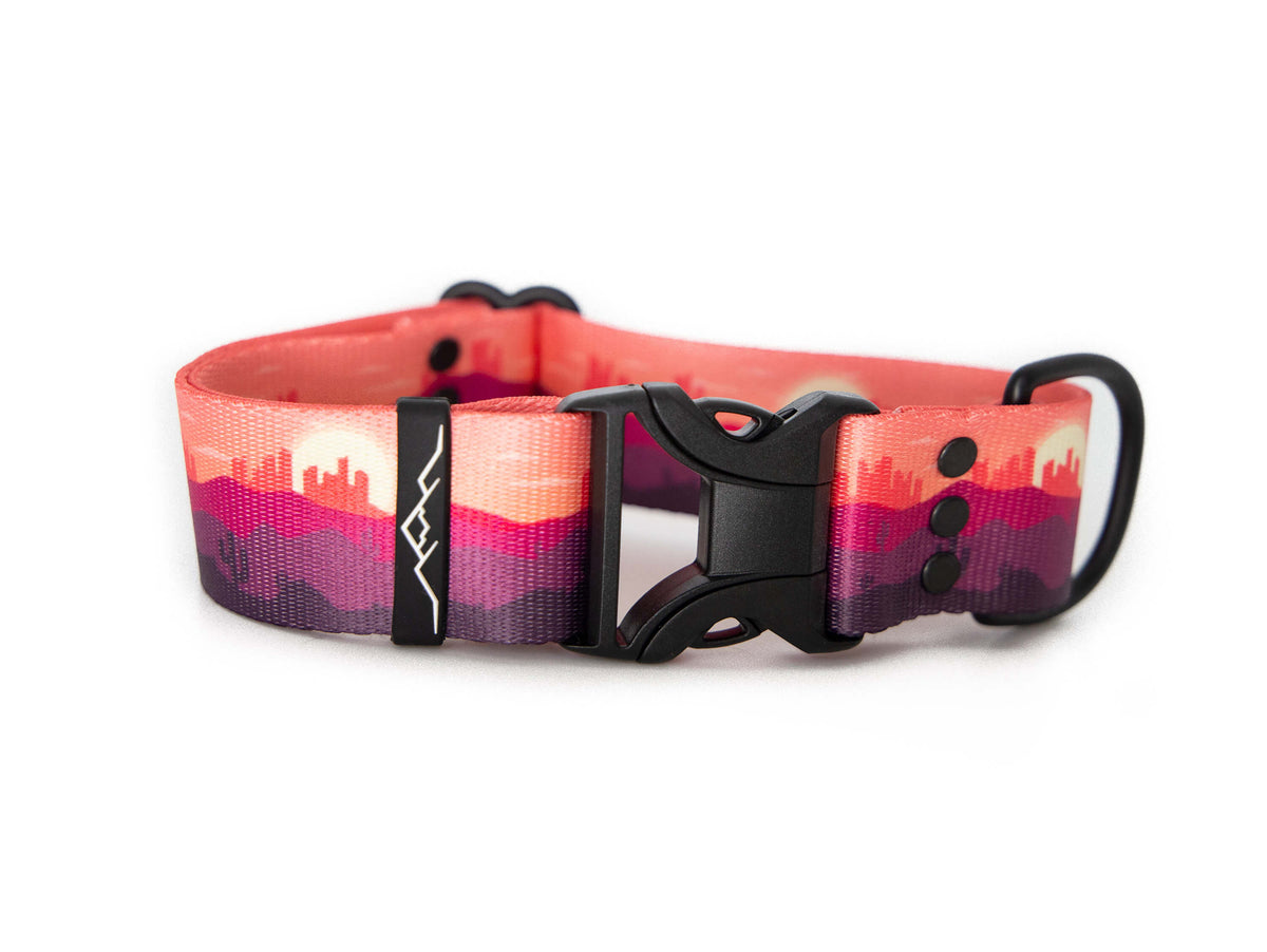 Desert Skies | Dog collar - Alpine Tails