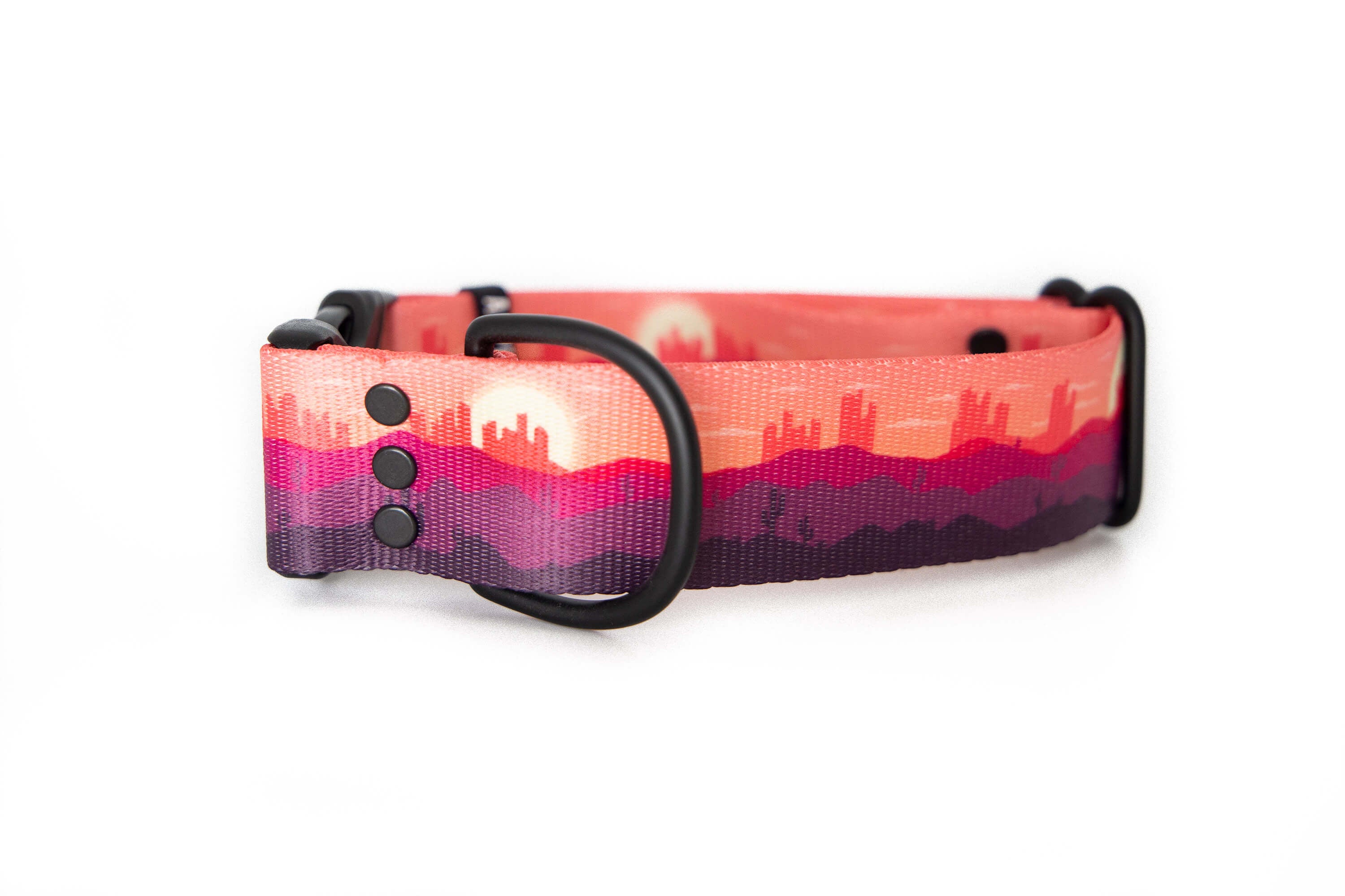 Desert Skies | Dog collar - Alpine Tails