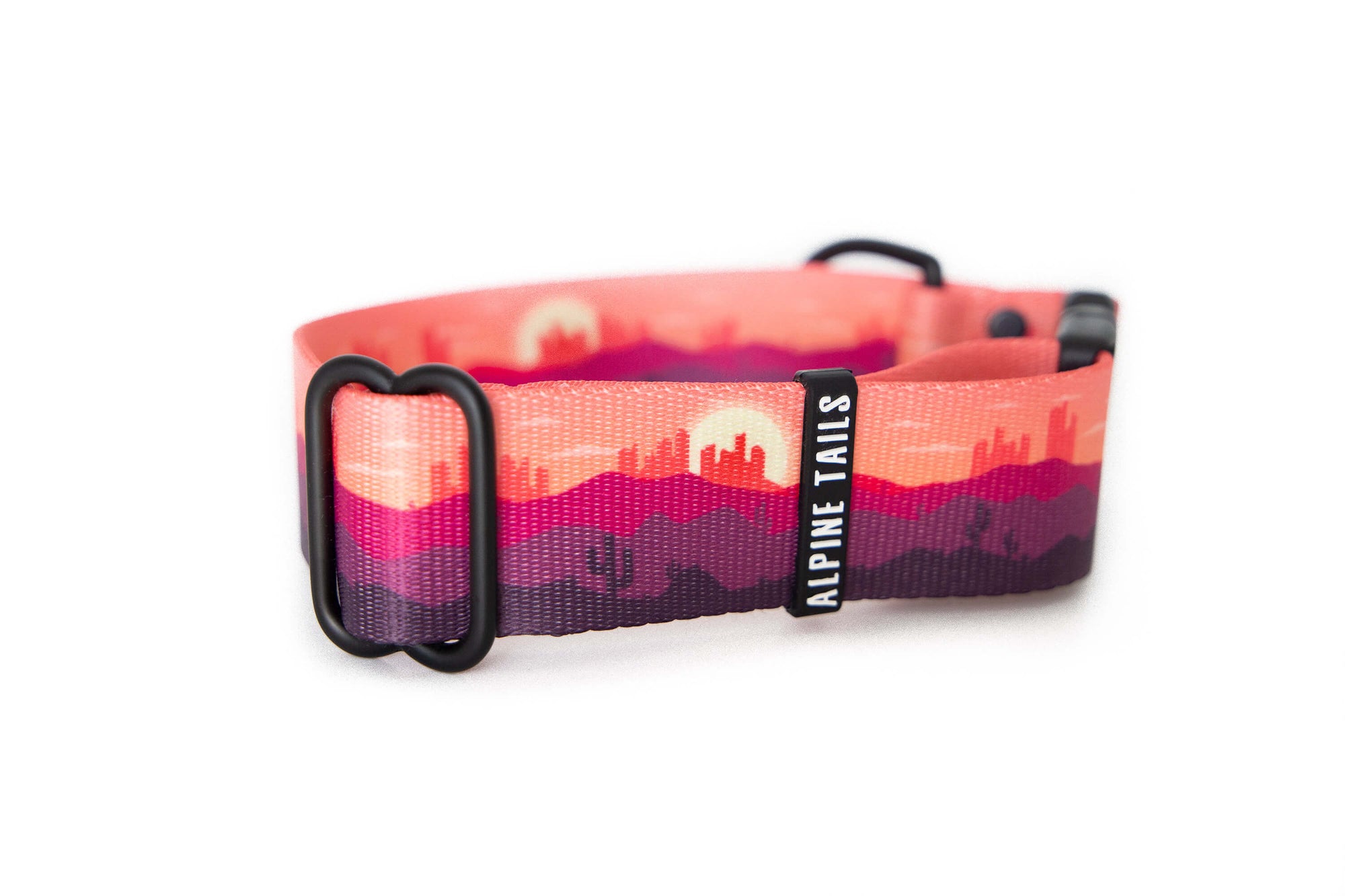 Desert Skies | Dog collar - Alpine Tails