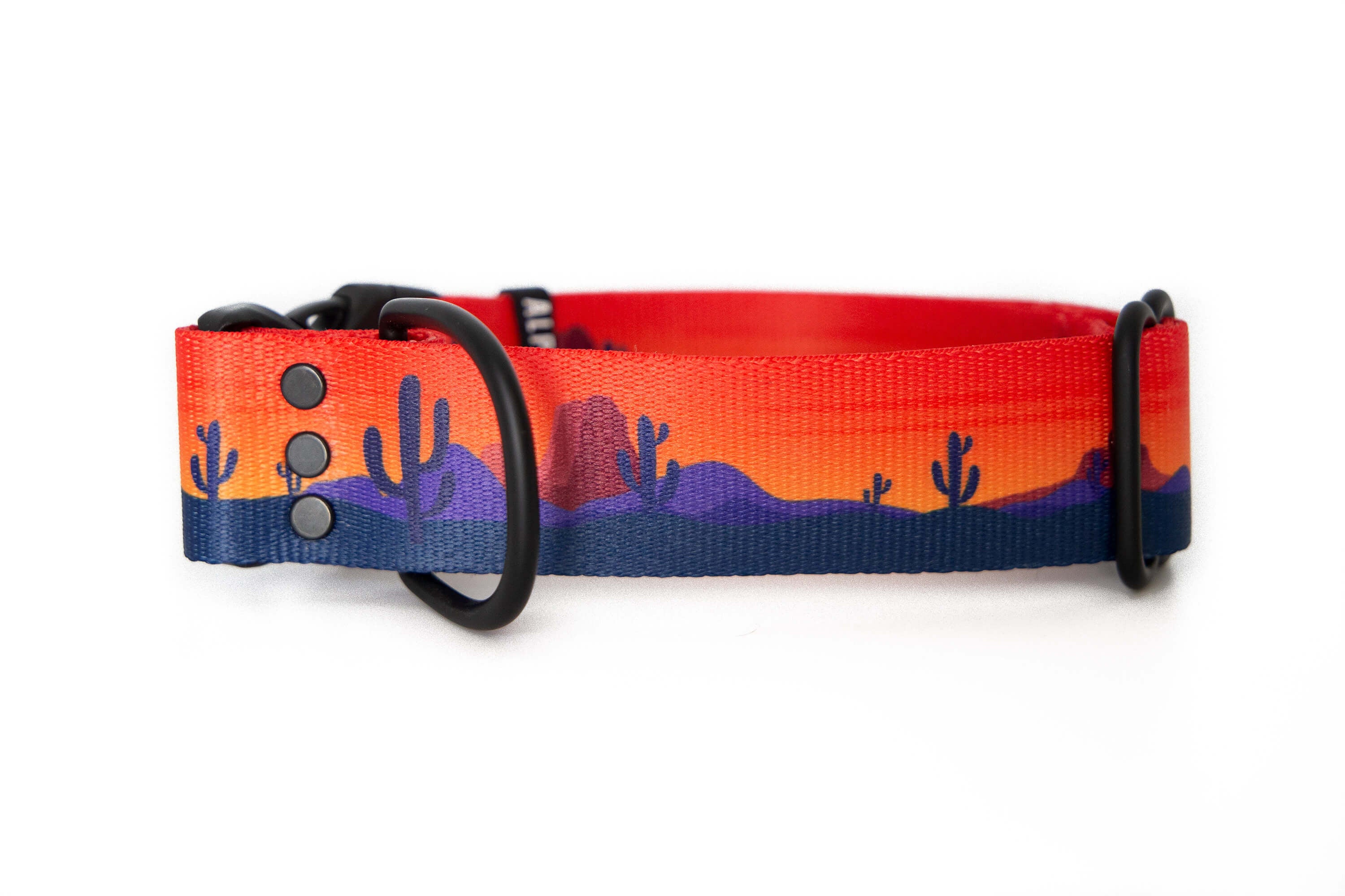 Desert Sunrise | Dog collar - Alpine Tails