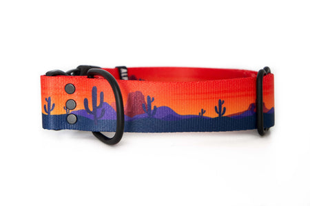 Desert Sunrise | Dog collar - Alpine Tails