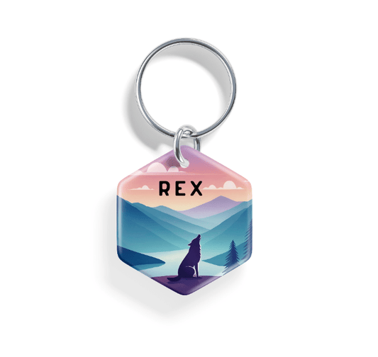 Dusk Begins | Pet ID Tag - Alpine Tails Pet Tags