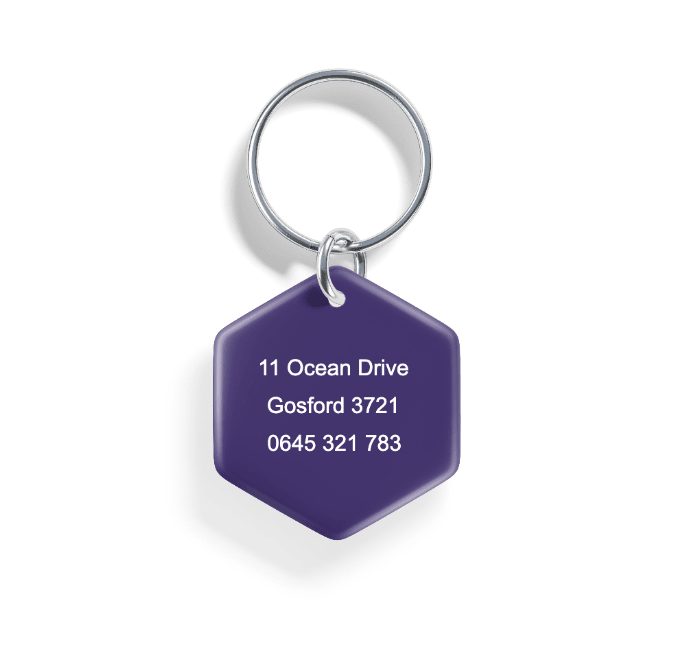 Dusk Begins | Pet ID Tag - Alpine Tails Pet Tags