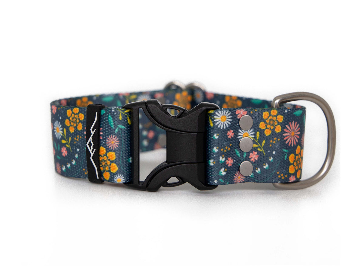 Florals | Dog collar - Alpine Tails