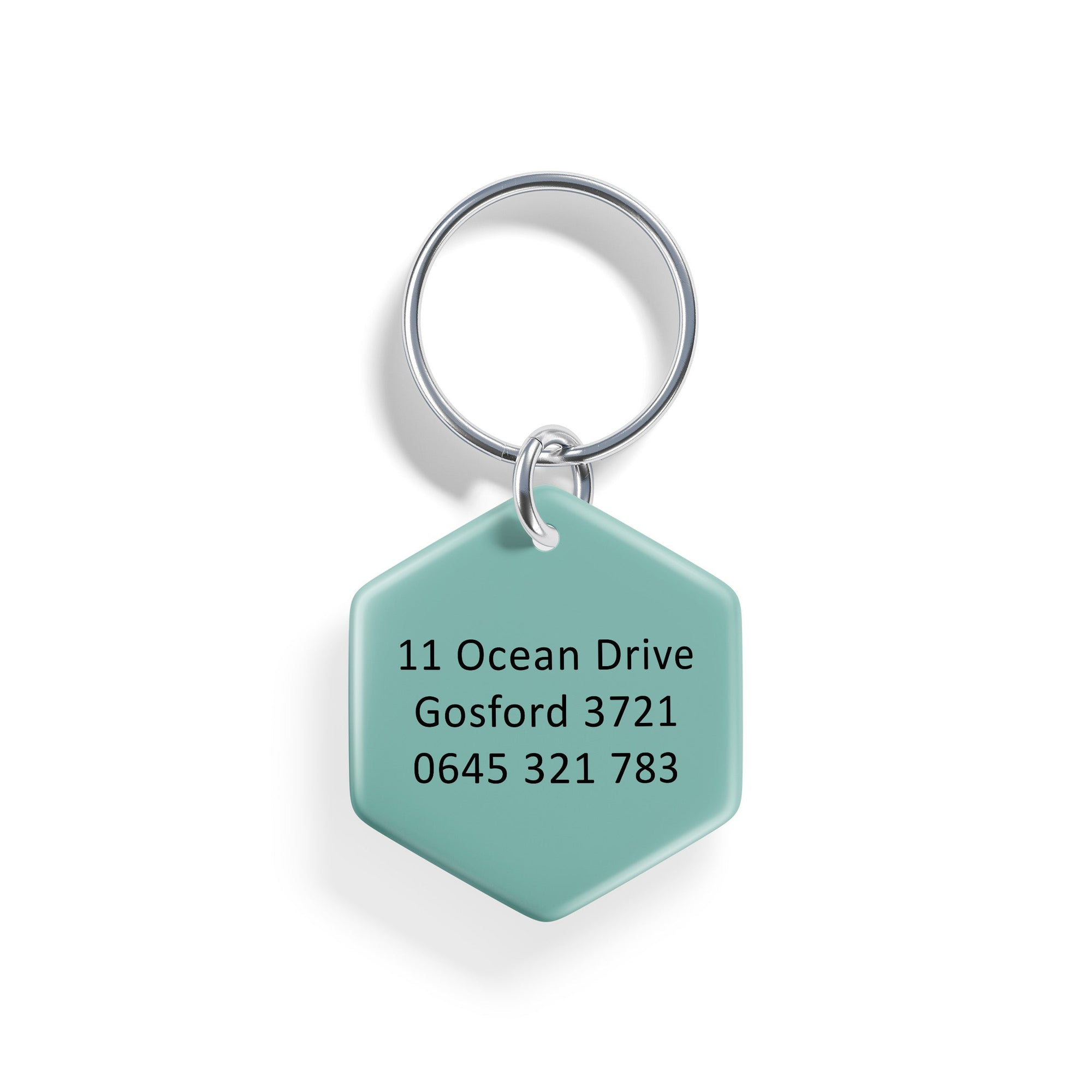 Geo Earth | Pet ID Tag - Alpine Tails Pet Tags