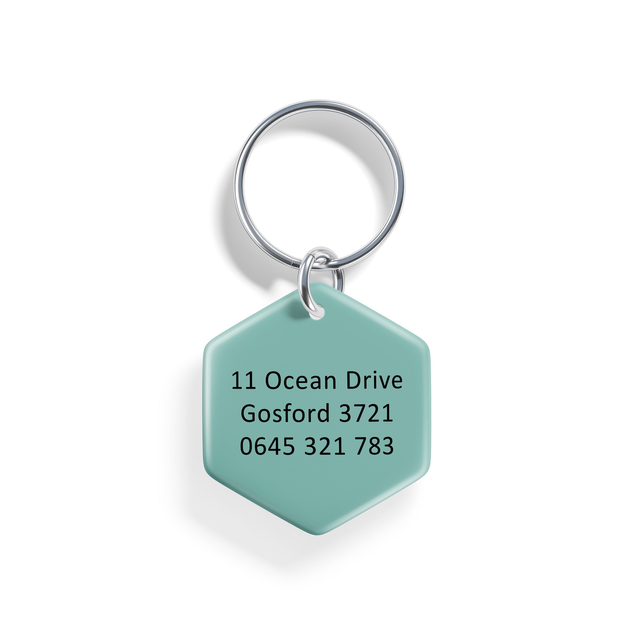 Geo Earth | Pet ID Tag - Alpine Tails Pet Tags