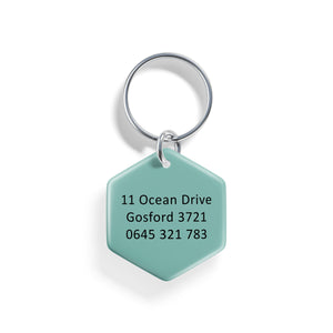 Geo Earth | Pet ID Tag - Alpine Tails Pet Tags