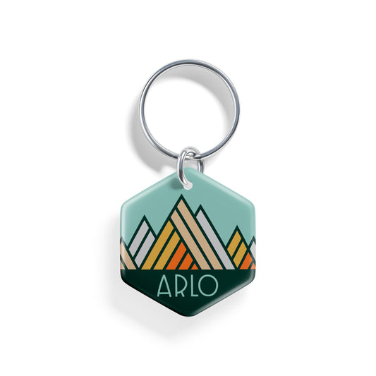 Geo Earth | Pet ID Tag - Alpine Tails Pet Tags