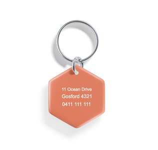 Guiding Light | Pet ID Tag - Alpine Tails Pet Tags