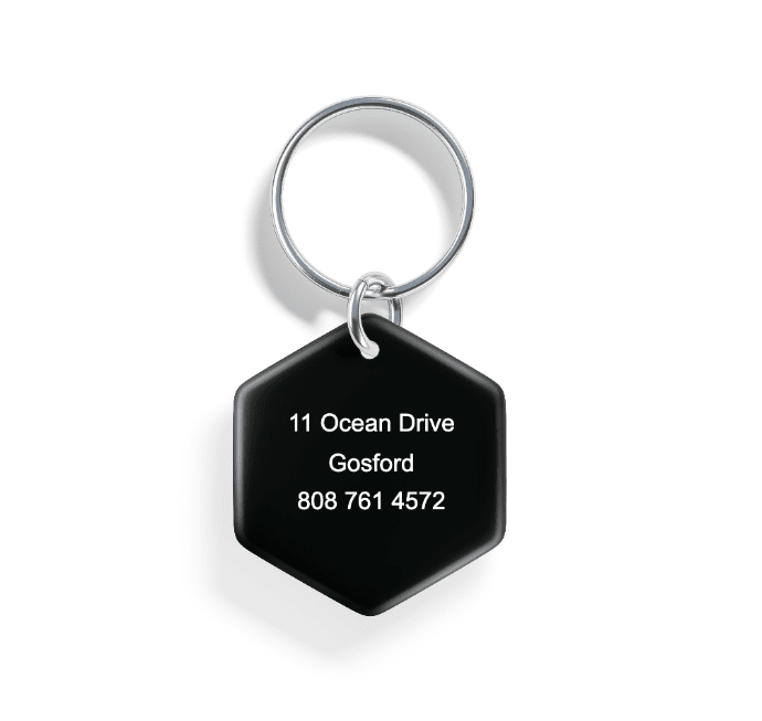 In the Valley | Pet ID Tag - Alpine Tails Pet Tags