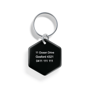 Lakeside Cabin | Pet ID Tag - Alpine Tails Pet Tags