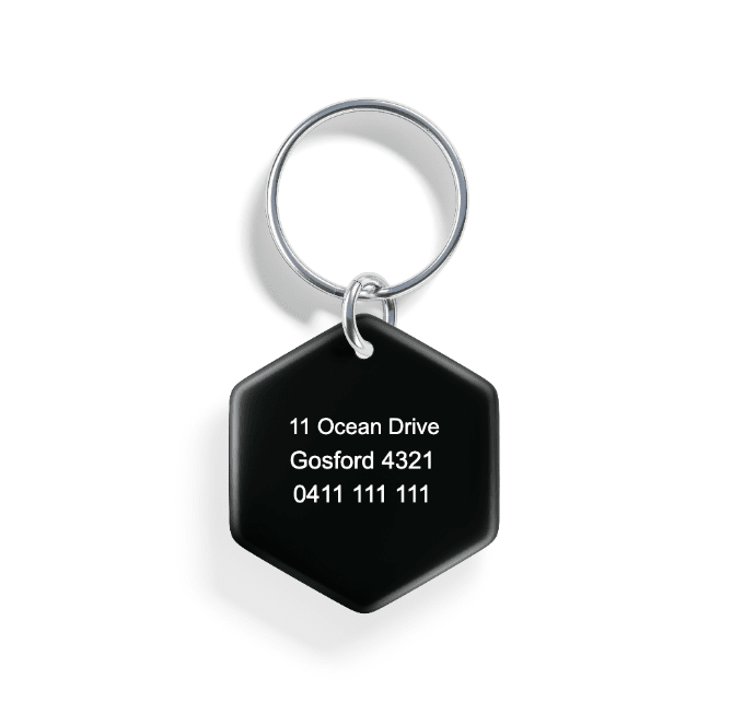 Lakeside Cabin | Pet ID Tag - Alpine Tails Pet Tags
