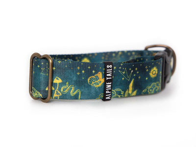 Mystic | Dog collar - Alpine Tails