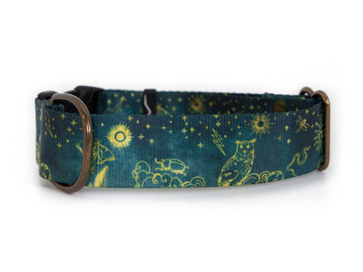 Mystic | Dog collar - Alpine Tails