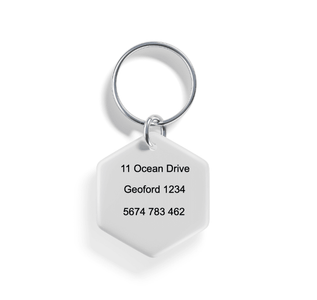 Mystic Mutt | Pet ID Tag - Alpine Tails Pet Tags