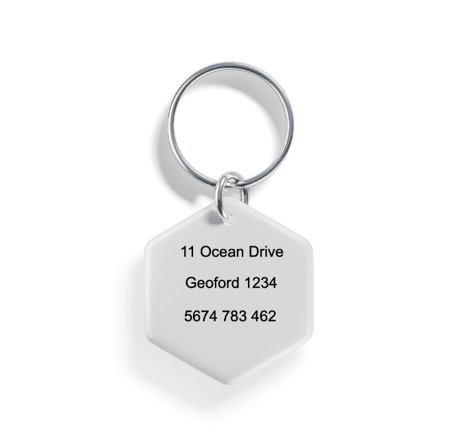 Mystic Mutt | Pet ID Tag - Alpine Tails Pet Tags