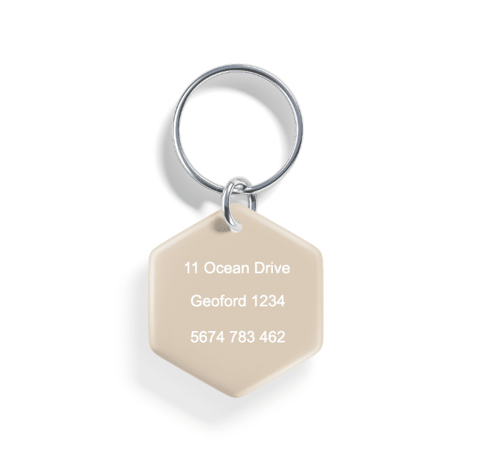 No Man's Land | Pet ID Tag - Alpine Tails Pet Tags