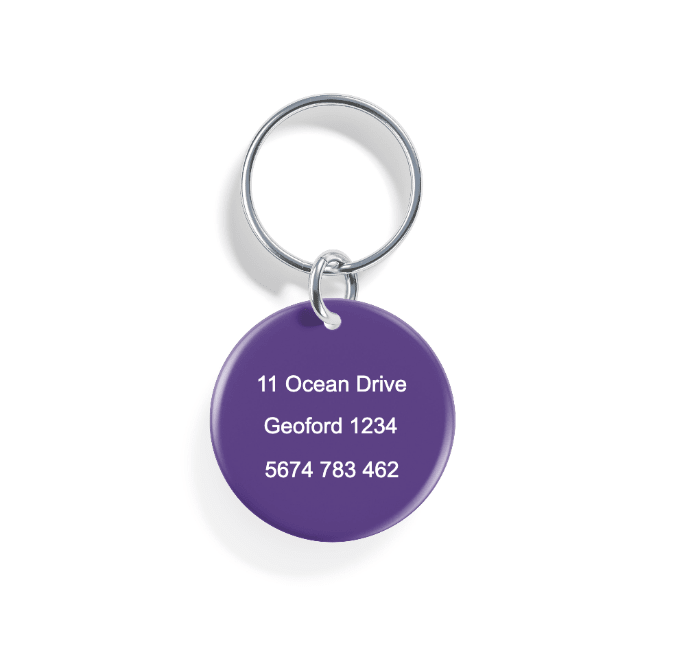 Rainbow Dawn | Pet ID Tag - Alpine Tails Pet Tags