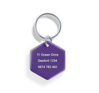 Rainbow Dawn | Pet ID Tag - Alpine Tails Pet Tags