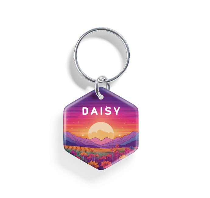 Rainbow Dawn | Pet ID Tag - Alpine Tails Pet Tags