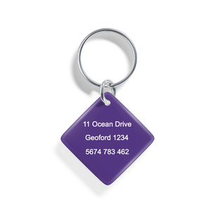 Rainbow Dawn | Pet ID Tag - Alpine Tails Pet Tags