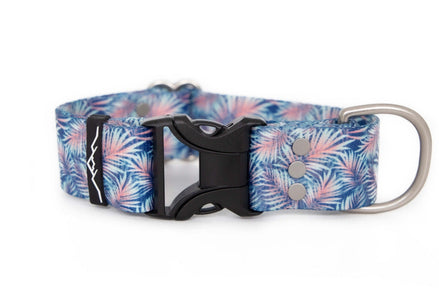 Tropics | Dog collar - Alpine Tails