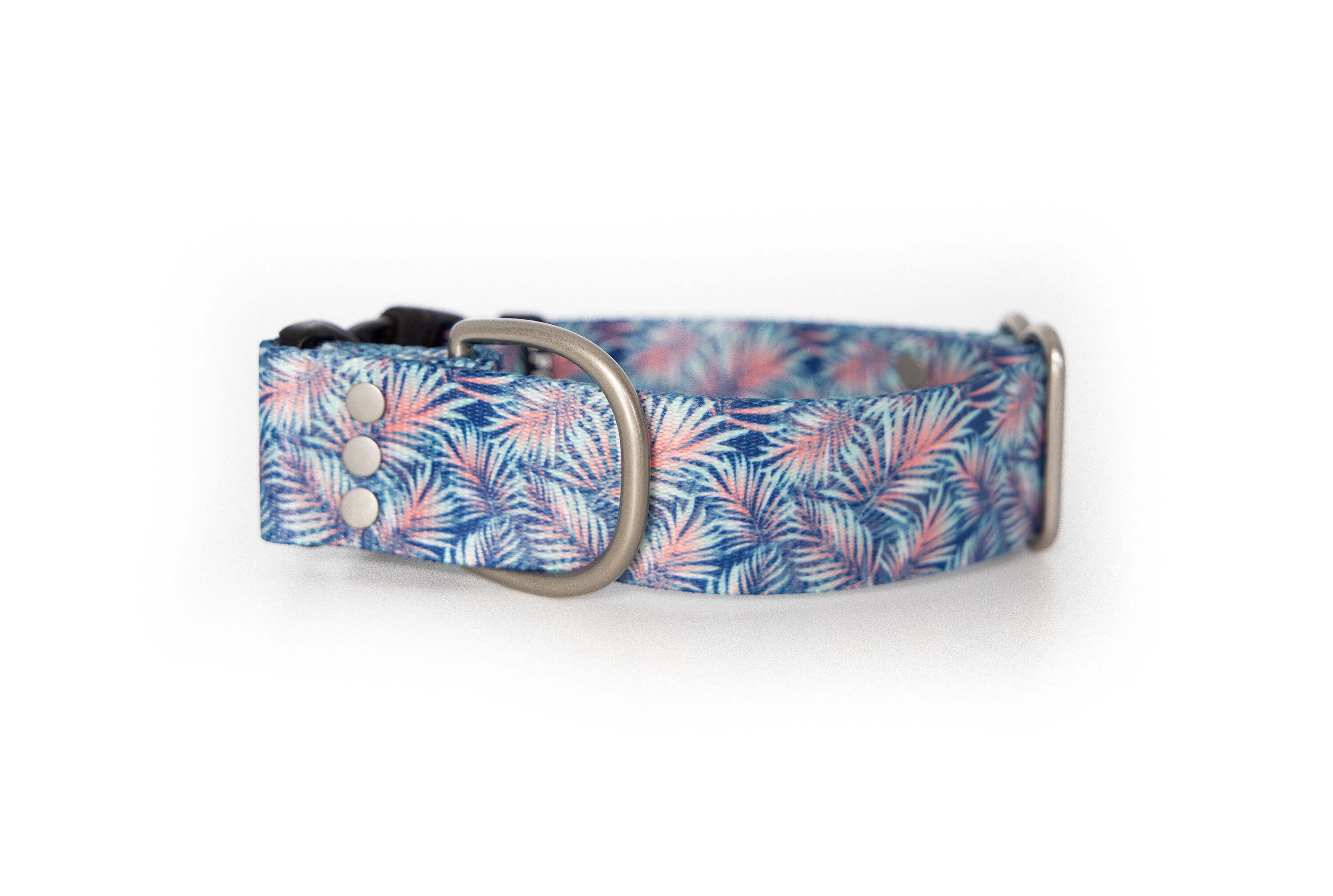 Tropics | Dog collar - Alpine Tails