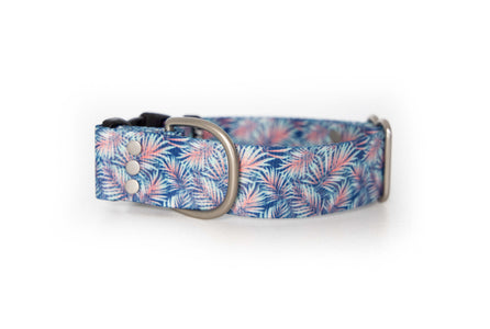 Tropics | Dog collar - Alpine Tails