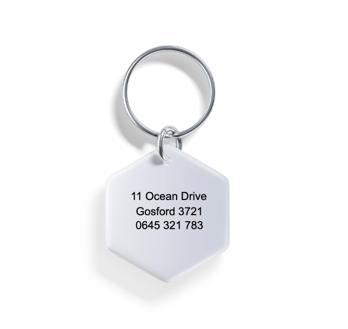 Twilight Waves | Pet ID Tag - Alpine Tails Pet Tags