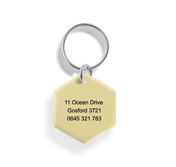 Valley Of The Sun | Pet ID Tag - Alpine Tails Pet Tags