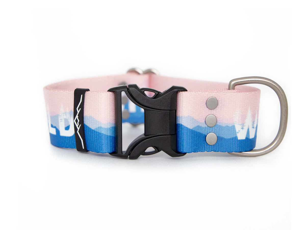 Wild | Dog collar - Alpine Tails
