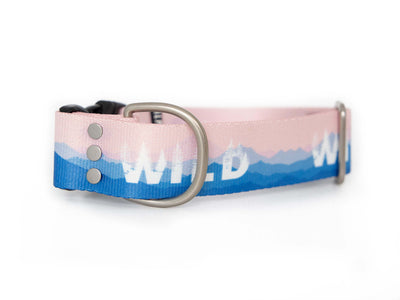 Wild | Dog collar - Alpine Tails