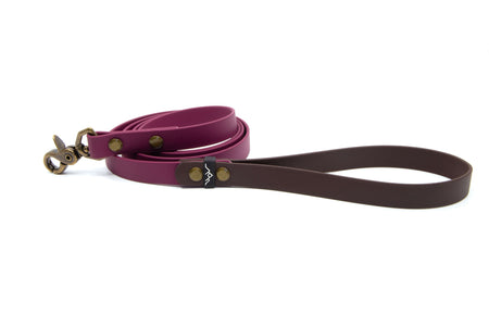 APPALACHIAN | DOG LEASH - Alpine Tails