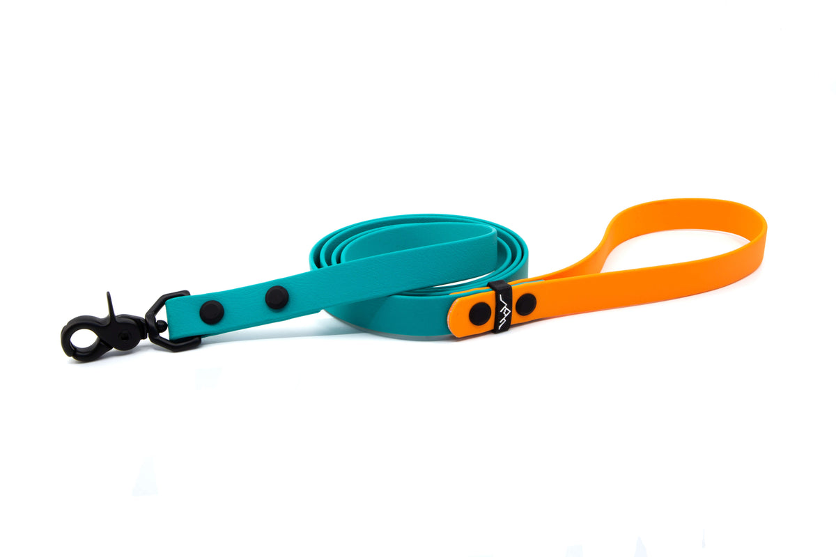 APPALACHIAN | DOG LEASH - Alpine Tails