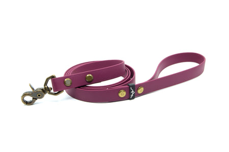 BASE CAMP | DOG LEASH - Alpine Tails